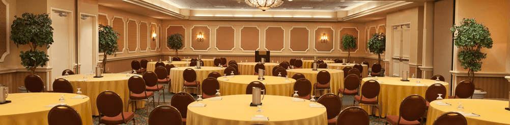 Rosen Plaza Meeting Room