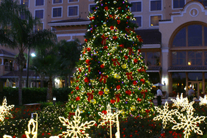 Christmas Tree Rosen Hotels